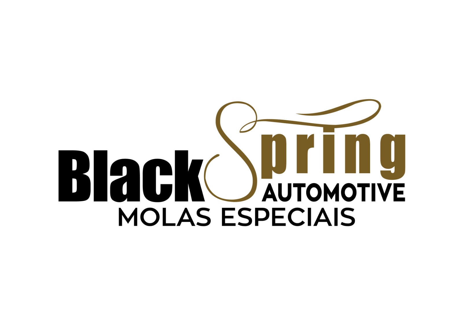 Black Spring Automotive